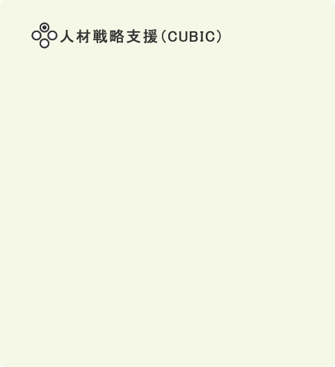 人材戦略支援（CUBIC）