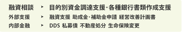 融資相談→目的別資金調達支援･各種銀行書類作成支援　外部支援→融資支援  助成金･補助金申請  経営改善計画書　内部金融→DDS  私募債  不動産処分  生命保険変更